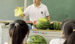 吃瓜教练老师视频大全免费观看,揭秘教学界趣味瞬间